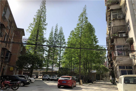 卫生间渗水到墙面怎么处理